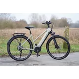 Prophete Entdecker 4.0 28 Zoll RH 50 cm Moosgrau-Schwarz Matt
