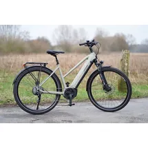 Prophete Entdecker 4.0 28 Zoll RH 50 cm Moosgrau-Schwarz Matt