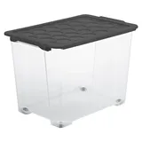 Rotho Aufbewahrungsbox Evo Safe Keeping 59,0 x 39,5 x 41,2 cm 1-tlg. grau