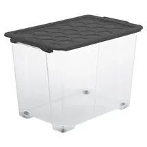 Rotho Aufbewahrungsbox Evo Safe Keeping 59,0 x 39,5 x 41,2 cm 1-tlg. grau