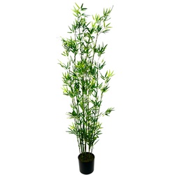 Kunstpflanze I.GE.A. "Bambus im Topf" Kunstpflanzen Gr. B/H: 34 cm x 180 cm, 1 St., grün Kunstpflanze Kunstpflanzen