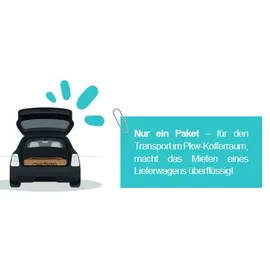 Avidsen Soria Mini Solar-Balkonkraftwerk 400 W inkl. Wechselrichter