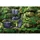 Berlinger Haus 28cm BH-1203 FOREST LINE
