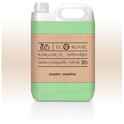 5L Kanister Shampoo Aroma Minze