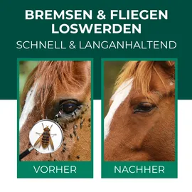 Silberkraft Bremsen-Spray für Pferde 2 x 500 ml