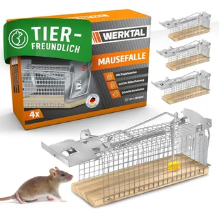 werktal Mausefalle lebend - Hochsensitive Lebendfalle Maus [4er Set] - Tierfreundliche Hygenische Mäusefalle mit Doppeltür - Einfache Köderfixierung - Wiederverwendbare Rattenfalle lebend