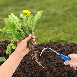 Maximex Wurzelgreifer mit Rillenstruktur erleichtert die Gartenarbeit