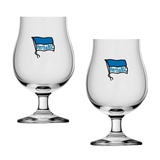 Hertha BSC Berlin Biertulpe Logo 2er-Set Bierglas Glas Pilstulpe HBSCB - Plus Lesezeichen I love Berlin