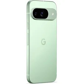 Google Pixel 9 256 GB wintergreen