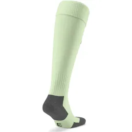 Puma Team Liga Core Stutzenstrümpfe Fresh Mint 39-42