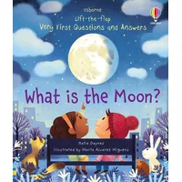 Usborne Verlag Very First Questions and Answers): What is