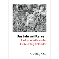 Das Jahr Mit Katzen