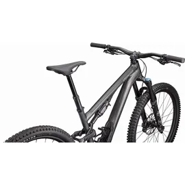 Specialized Stumpjumper 15 Comp 2025 29 Zoll RH 0 cm Unisex gloss smoke 'n' cool grey