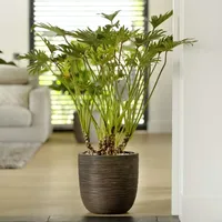 Capi Europe Capi Blumentopf Nature Rib 43x41 cm Dunkelbraun