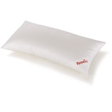 Paradies Kopfkissen SINFONIE BIO - weiß - BL 40x80 cm