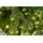 Evergreen Künstlicher Weihnachtsbaum Roswell Kiefer Grün 150 cm