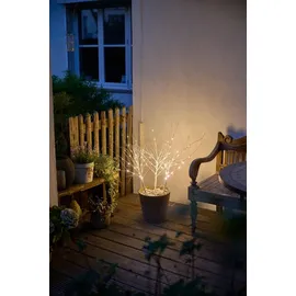 NORTHPOINT LED Sträucher Birkenoptik Weihnachtsdeko Outdoor warmweiße LEDs | 85cm