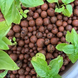 Biovita Blumenerde 5 l