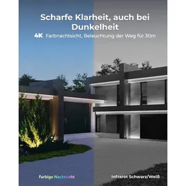 Reolink NVS12-8MB4W Blau