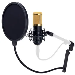 Pronomic CM-100BG Studio Großmembran-Mikrofon & Popschutz