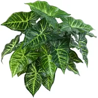 Aplanta Künstliche Syngonium - Kalle | 45 cm,