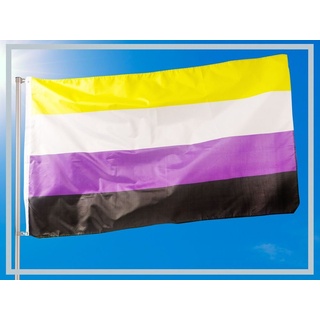 PHENO FLAGS Flagge Nichtbinär Flagge 90 x 150 cm Nicht Binär Fahne LGBT (Hissflagge für Fahnenmast), Inkl. 2 Messing Ösen