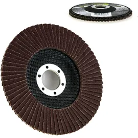 VOREL 07986 - Flaschenscheibe P80 125 mm