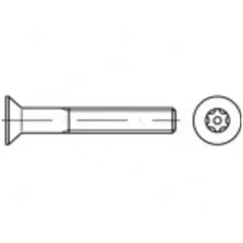 TOOLCRAFT Sicherheitsschrauben M10 80 mm 100 Stück