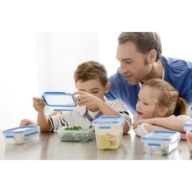 Emsa Frischhaltedosen Clip & Close grün 3 x 0,55 l