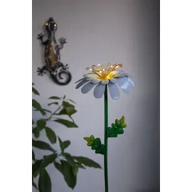 Star Trading Gecko Schwarz