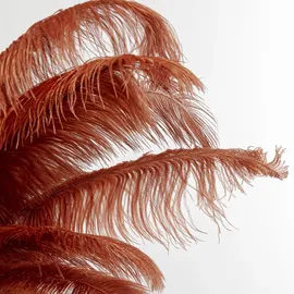 Kare Feather Palm 54549 Braun