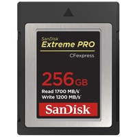 SanDisk Extreme PRO R1700/W1200 CFexpress Type B 256GB (SDCFE-256G)