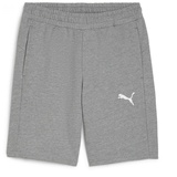 Puma teamGOAL Casuals Shorts Gestrickte Shorts