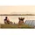 dabbsson DBS200S Solarpanel 200W
