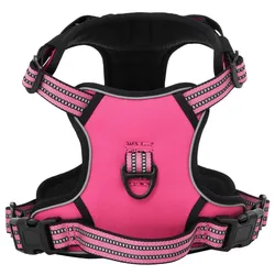 Hundegeschirr mit Leine & Halsband Verstellbar Rosa XL