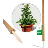 Novatool Kokos Rankstab 110 cm Pflanzenstütze