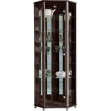 fif möbel Vitrine TRIO Eckvitrine/Glasvitrine 1x Glastür, perfekt für Sammler, Sammlervitrine braun