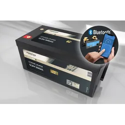 FORSTER 300Ah Sonderaktion 12,8V Lithium LiFePO4 Premium Batterie 200A...- 0% MwST. (Angebot gemäß §12 USt Gesetz.)