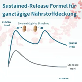 Igennus Methyliertes Multivitamin für Männer Tabletten 60 St.