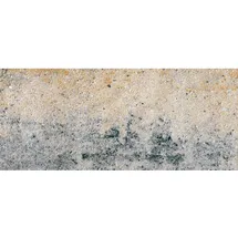 Diephaus Terrassenplatte Muschelkalk 80 x 20 x 6 cm