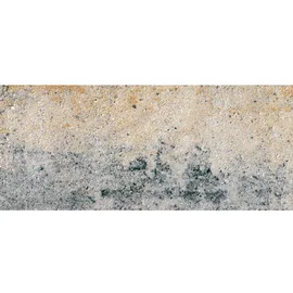 Diephaus Terrassenplatte Muschelkalk 80 x 20 x 6 cm