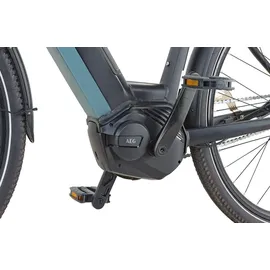 Prophete Geniesser 4.0 28 Zoll RH 48 cm schwarz matt