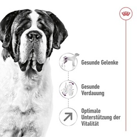 Royal Canin Giant Adult 4 kg