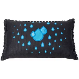 Wenko Auto-Entfeuchter mit Indikator 1000g 1er-Set