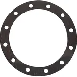 Viessmann Speicherdichtung 7819669