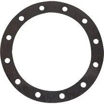 Viessmann Speicherdichtung 7819669