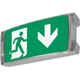 Ceag Notlichtsysteme Rettungszeichenleuchte LED S CG-S
