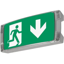 Ceag Notlichtsysteme Rettungszeichenleuchte LED S CG-S
