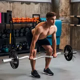 sportnow Hantelscheiben 2 x 5 KG gummierte Olympiascheiben für Krafttraining schwarz