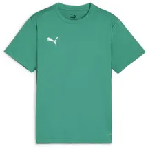 Puma teamGOAL Trikot Kids